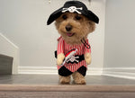Pet Pirate Costume